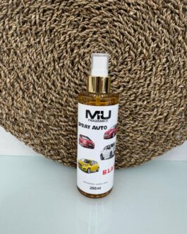 SPRAY AUTO